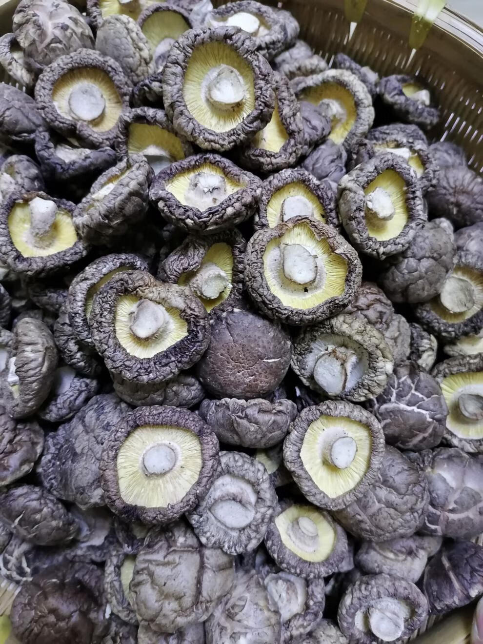 五折 西峡特产干香菇新货2500g餐饮黄焖鸡食堂专用香菇无根蘑菇散装