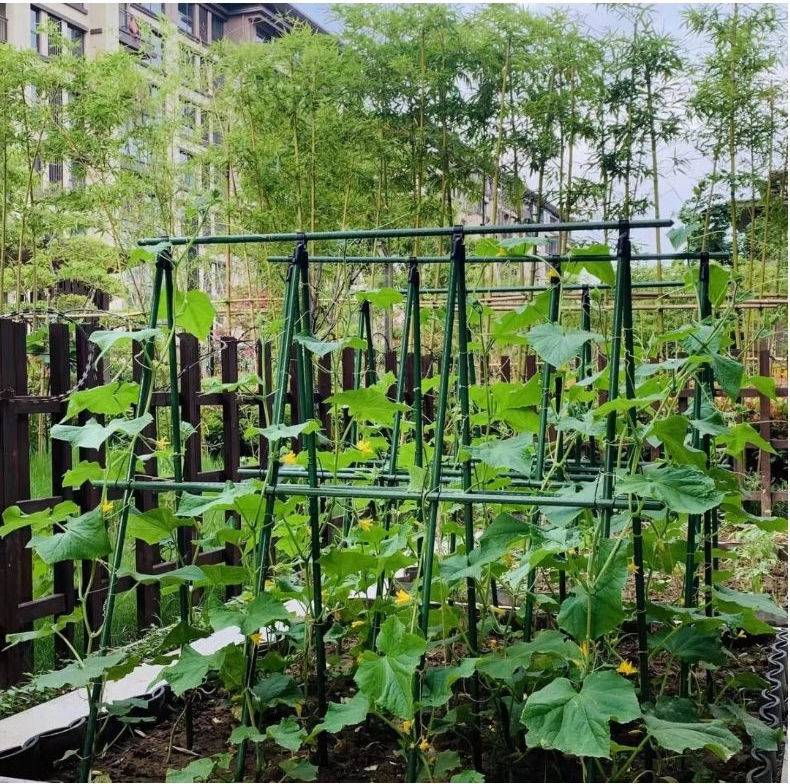 省之优黄瓜架丝瓜攀爬架蔬菜豆角葡萄架花架户外庭院阳台花卉豆角爬藤