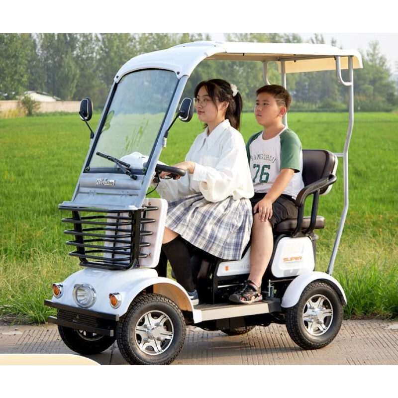 四轮电动车代步车双人电瓶车带棚接孩子封闭休闲助力车送小孩子电瓶车