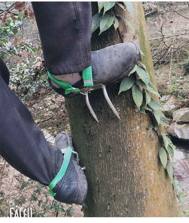 泰鹏爬树神器爬大树猫爪防滑上树抓树工具多功能加强上树神器4爪45号