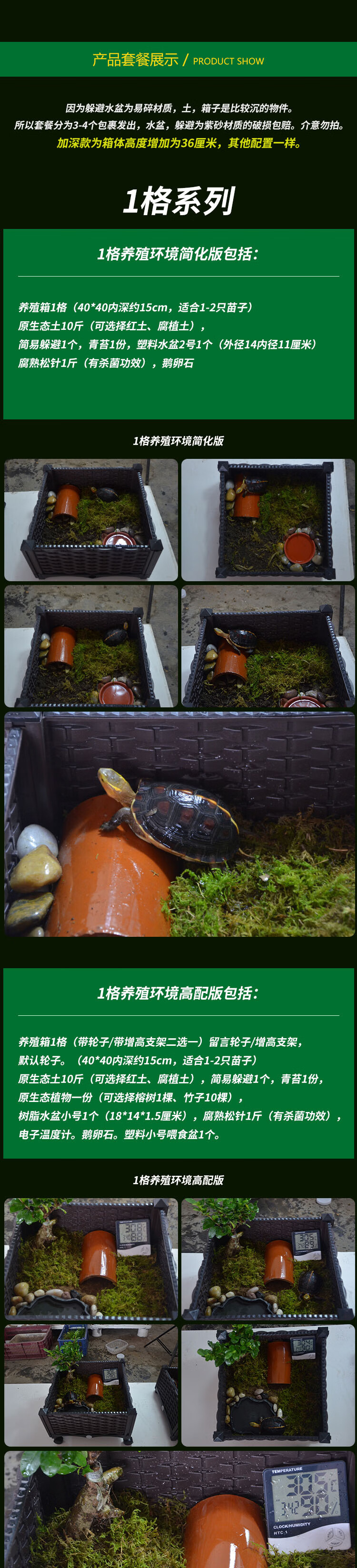 黄缘龟仿野生环境图箱图片