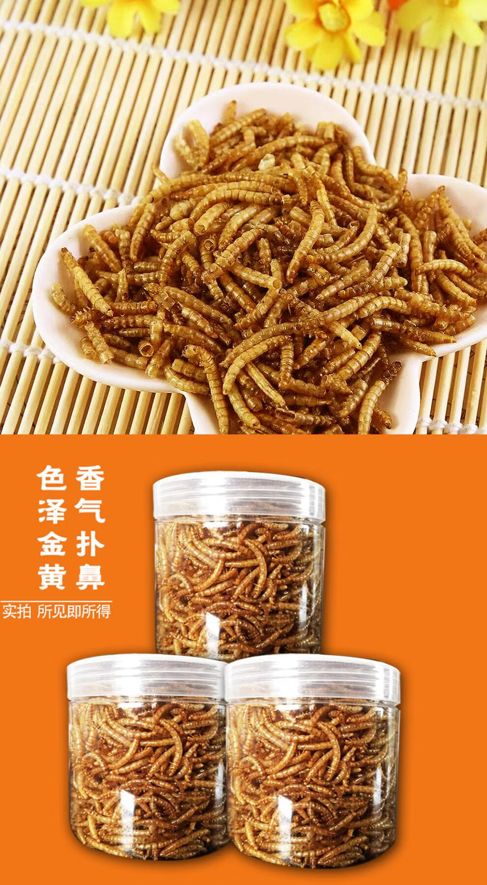 牧马安达油炸香辣面包虫即食熟食黄粉虫美味昆虫蚂蚱虫子美食一罐人食