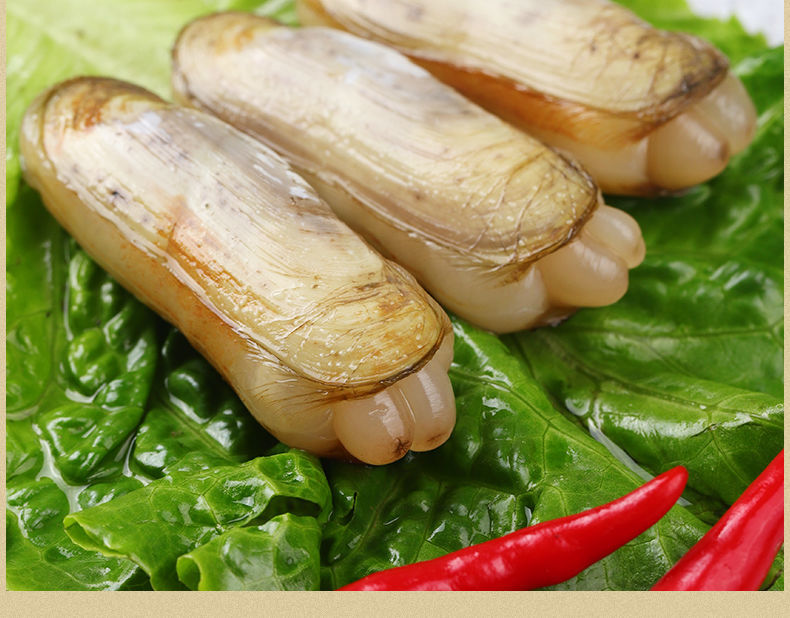 鲜活蛏子蛏王海蛏子新鲜海鲜天然无污染大蛏子竹节蛏笔杆蛏鲜活蛏子