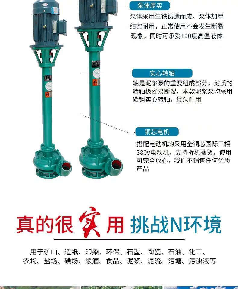 立式污泥泵型号大全图片