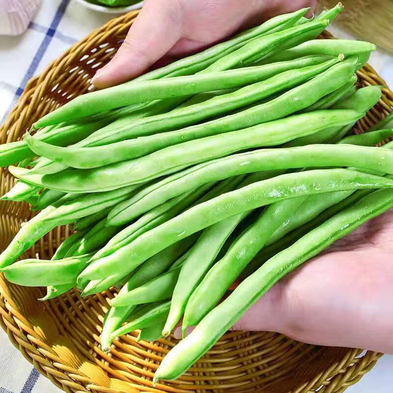 云南新鲜无筋豆四季豆整箱无丝豆角新鲜蔬菜 普通装(泡沫箱) 2斤