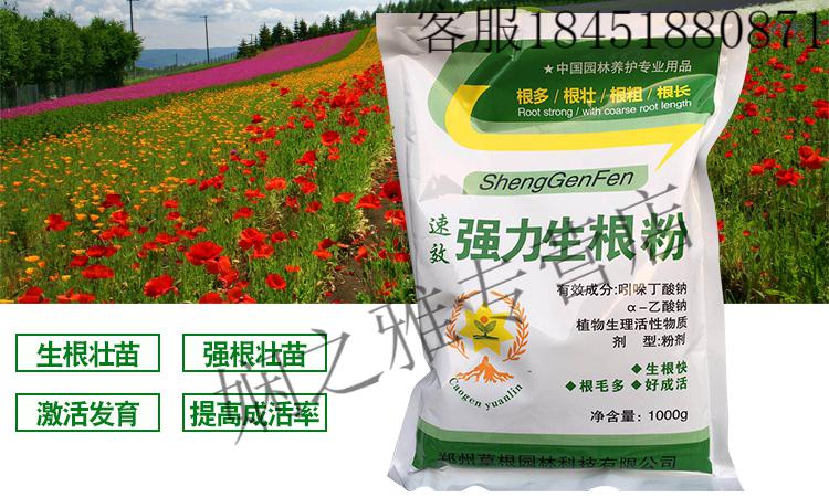 植物通用扦插用树木快速速效爆炸生跟粉发根剂液果树 1kg强力生根粉