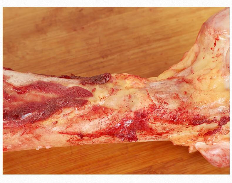 新鲜驴骨头驴腿骨头驴棒子骨驴筒骨驴肉炖汤营养驴骨汤 顺丰快递3斤