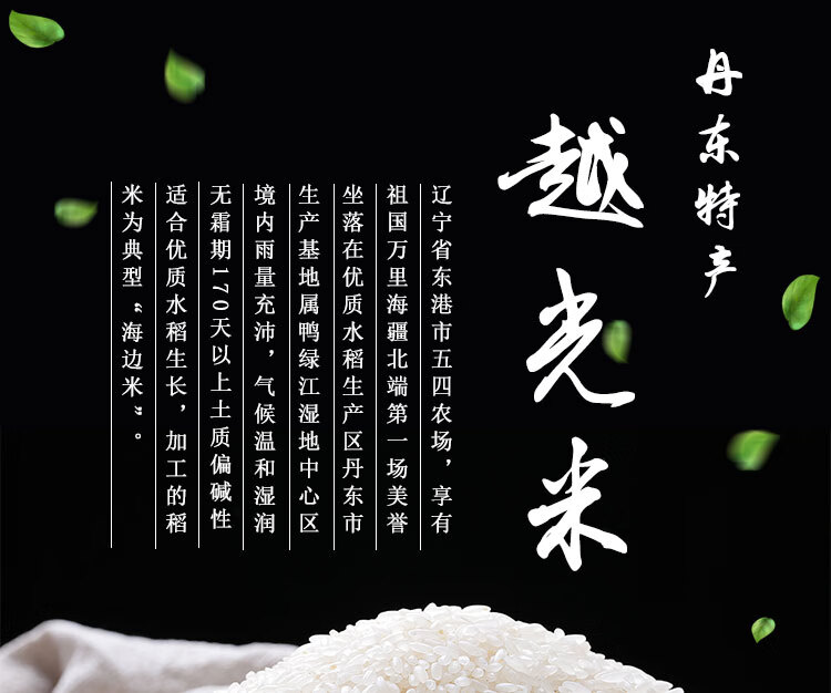 越光大米10斤丹东五四农场珍珠米日本寿司米粳米新米东北大米5kg