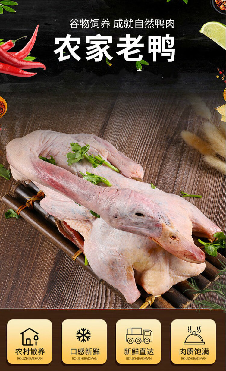 农家散养老鸭子土鸭水鸭老麻鸭子白条鸭肉整只白条鸭 丽鲜玫 3年散养