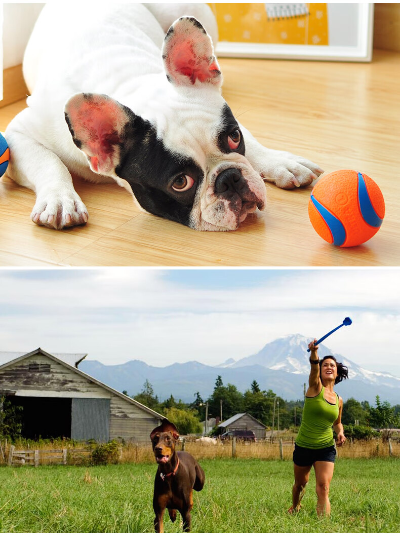 petmate进口狗狗玩具球 耐咬发声磨牙泰迪金毛大型犬幼犬宠物用品