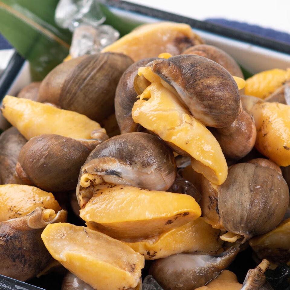 江苏鲍鱼螺老婆脚无冰衣半熟无泥沙黄金鲍海鲜水产批发锦蜜姬半熟速冻