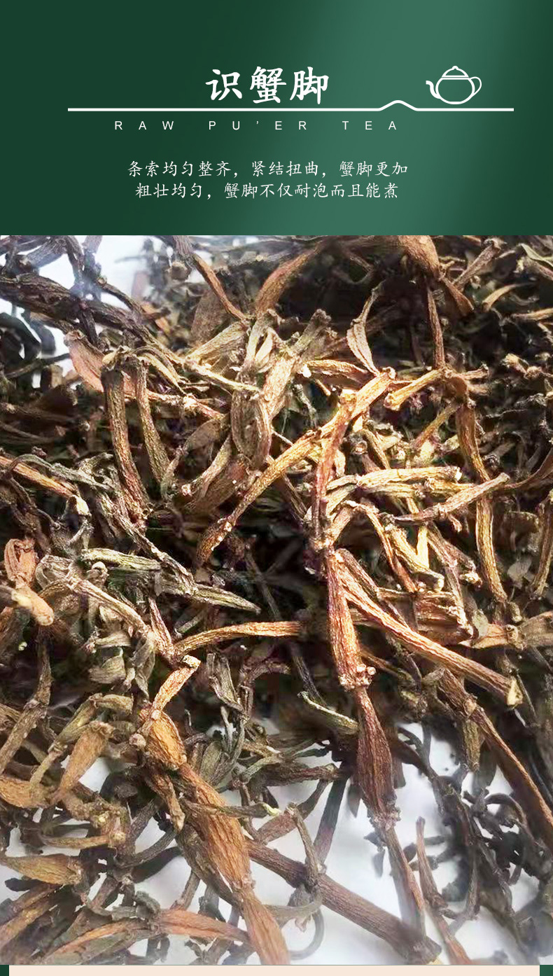 螃蟹脚茶一斤500g螃蟹脚茶景迈云南古茶树茶区寄生茶普洱伴侣生茶宓蝶