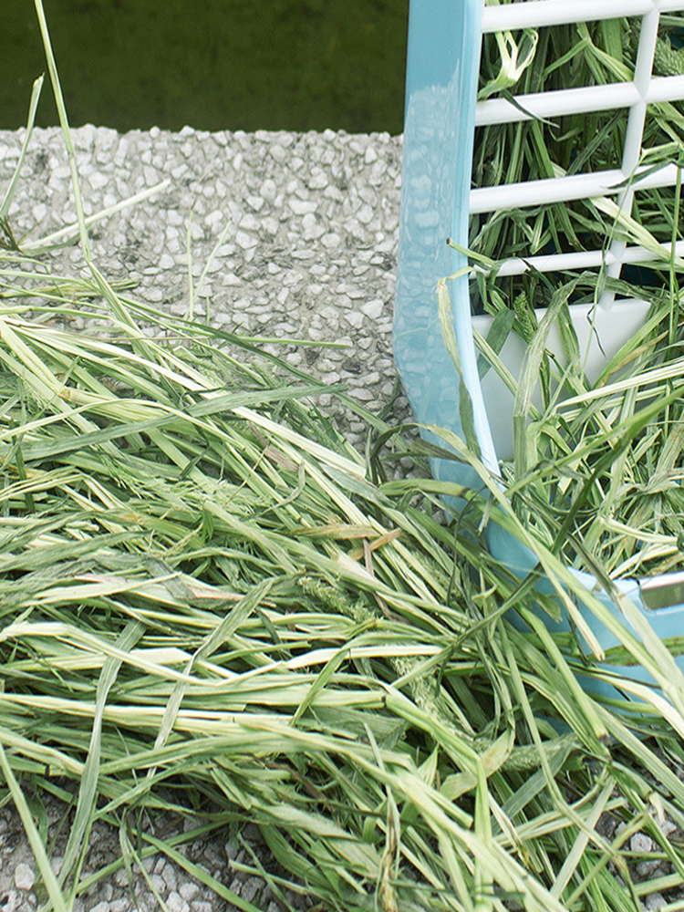 提摩西草干草 2021新牧草兔粮龙猫草荷兰猪饲料豚鼠提草500g 500g