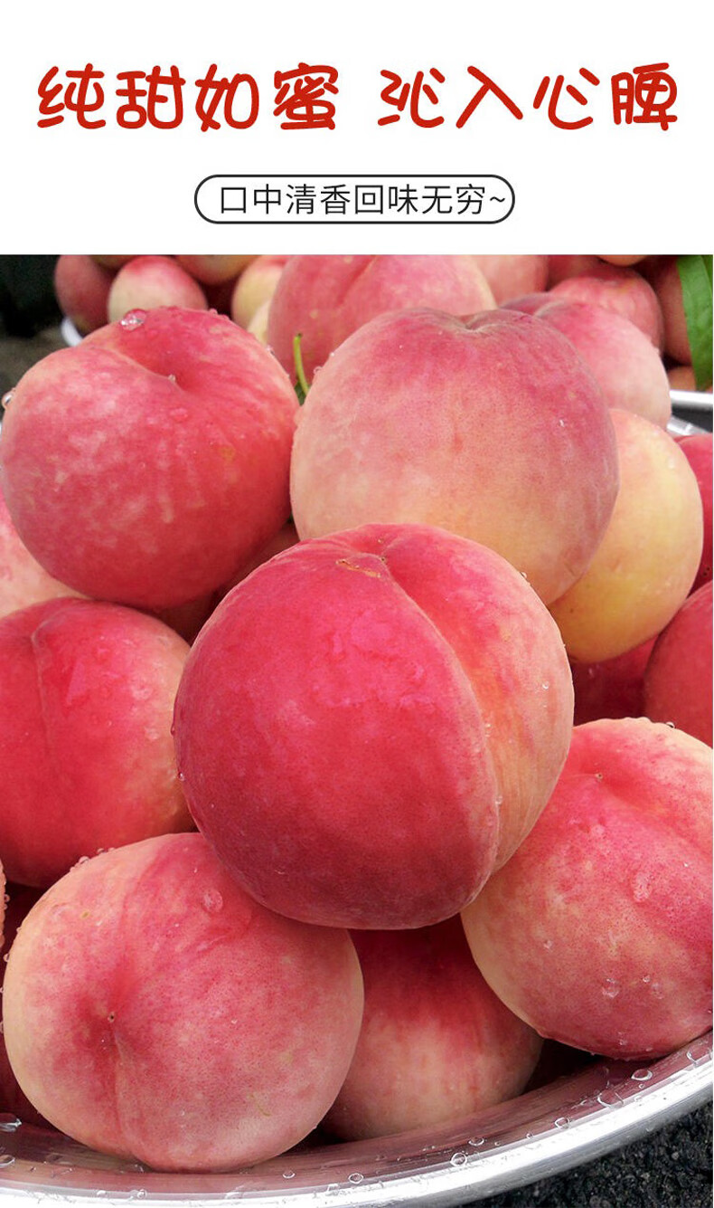 奢旺【精选好果】金秋红蜜桃离核纯甜新疆水蜜桃顺丰新鲜孕妇水果现摘