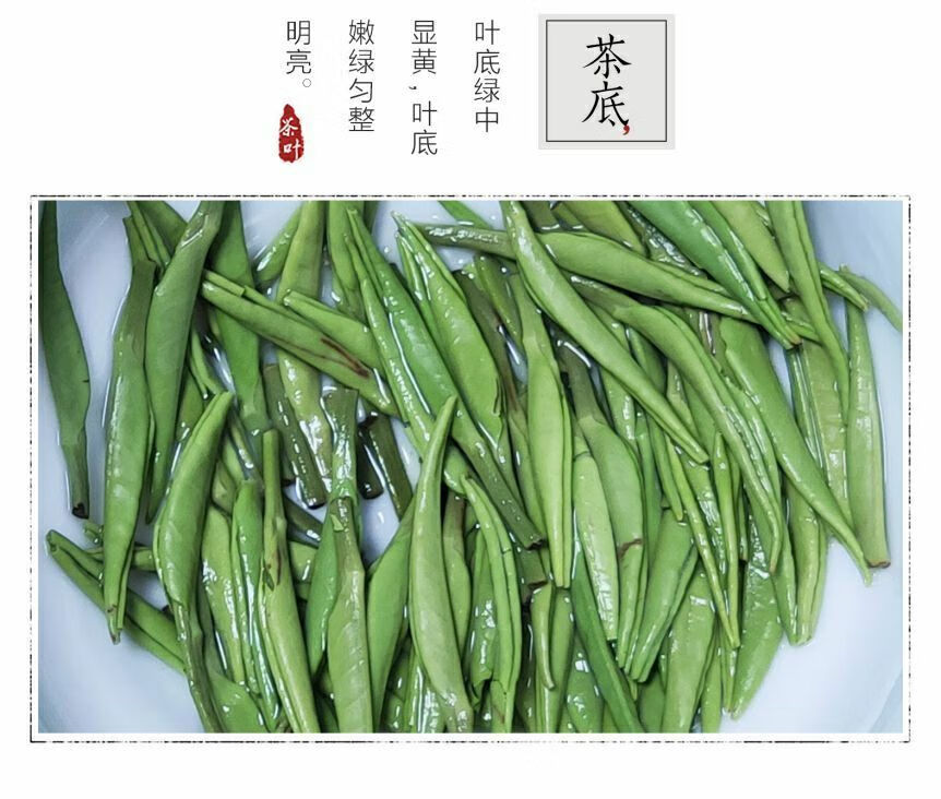 晨臻2022新茶剑绿上犹剑绿雀舌绿茶嫩芽茶叶竹叶青春茶明前茶散装