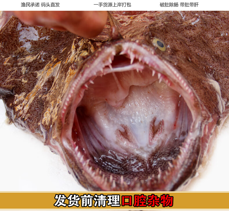 鲜活海鲜安康鱼蛤蟆鱼老鬼鱼鱼大嘴鱼深海鮟鱇水产5斤