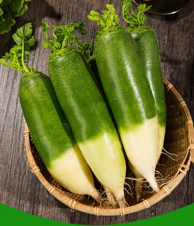 山东潍坊青萝卜潍县当季沙窝萝卜农家种植生吃水果萝卜 3斤【图片 价