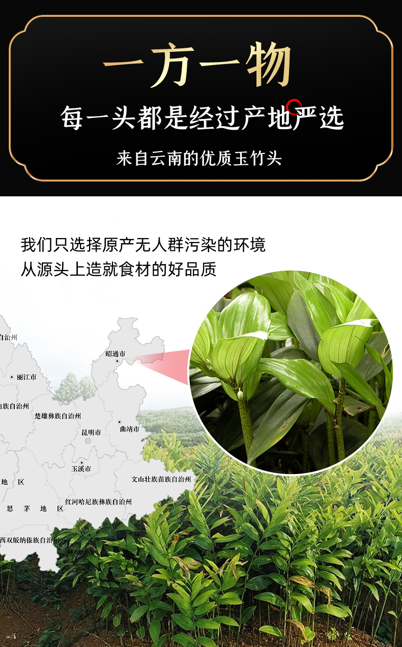 玉竹头伟博海玉竹头沙参新鲜玉竹干货云南特产野生黄精中药材海竹头