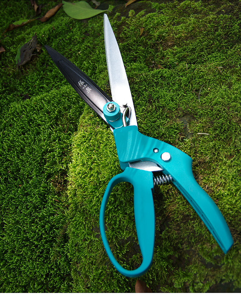 张小泉草坪剪草刀 家用园林修枝修花草剪绿化割草盆景花艺剪刀 草坪剪