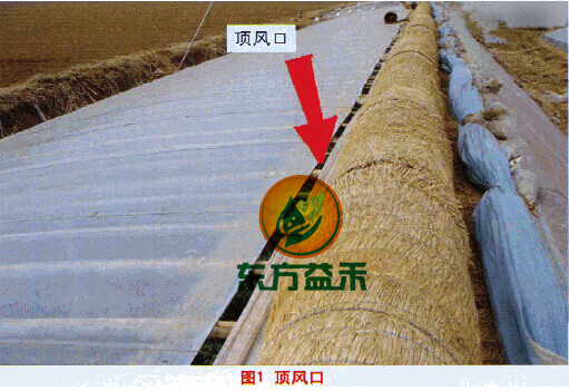 蔬菜大棚放风滑轮 镀锌铸铁塑料 铁皮滑轮放风口尼龙小滑轮定吊轮 四