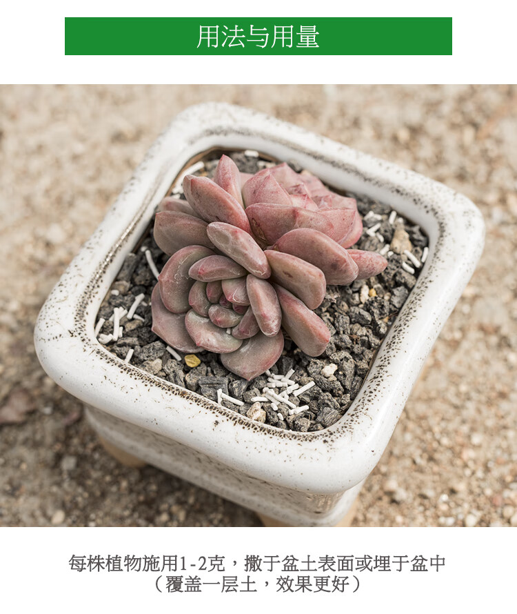 小白药兰花杀虫剂小黑飞红蜘蛛蓟马蚧壳虫呋虫胺杀虫剂250g