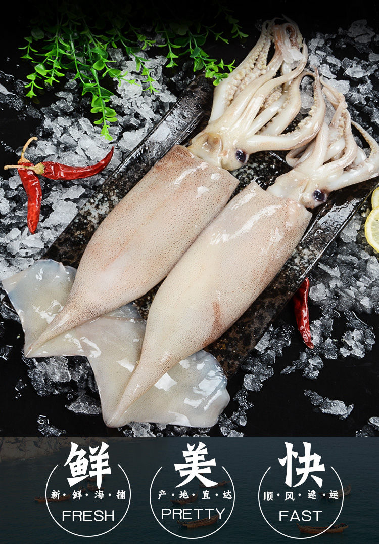顺丰中通生鲜不挂冰大鱿鱼10斤整只鱿鱼鲜活冷冻冰鲜烧烤海鲜1斤鲜木3