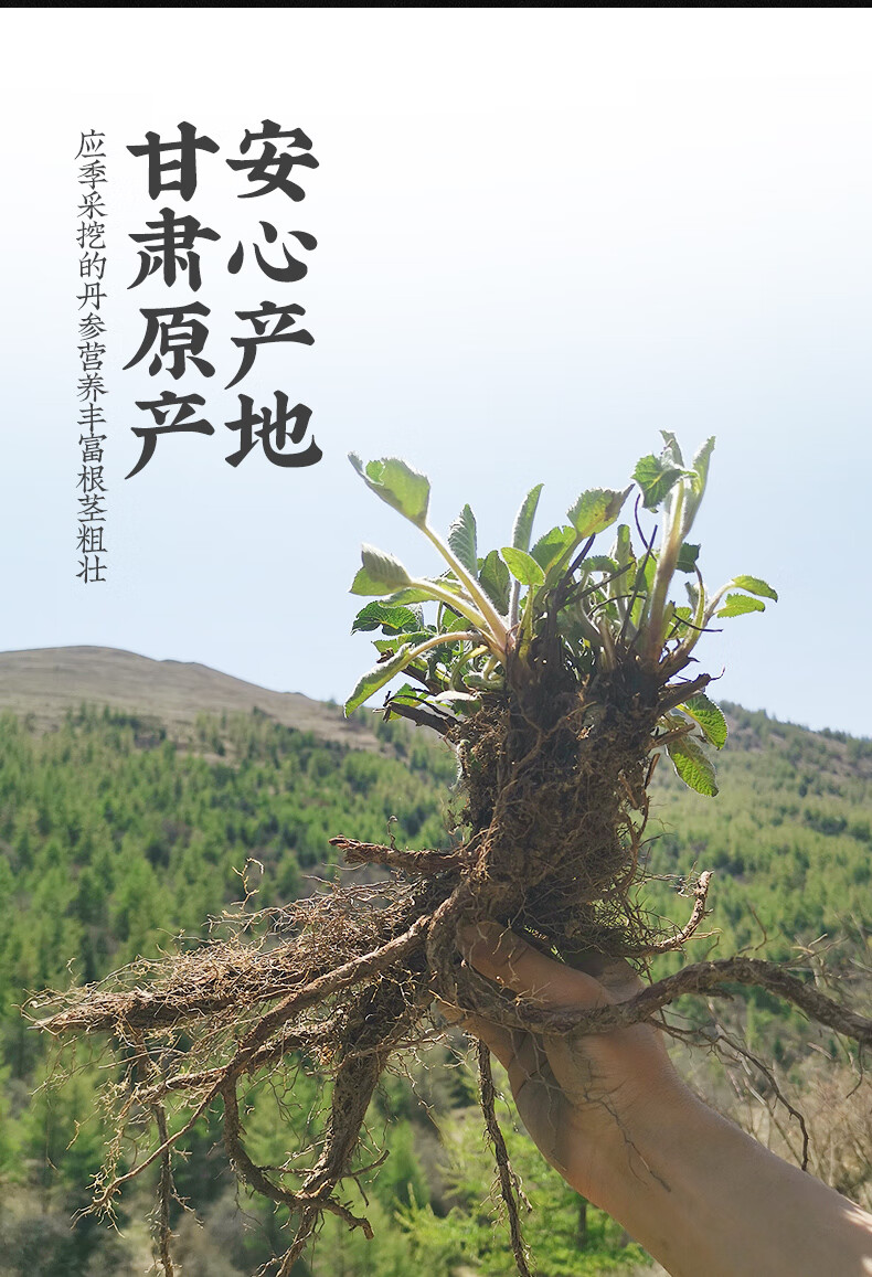 甘肃中江丹参500g紫丹参片泡茶水丹参粉茶超细