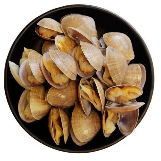 真空即食黄蚬子丹东大黄蚬子蚬子新鲜鲜活蚬子肉新鲜丹东海鲜 丹东