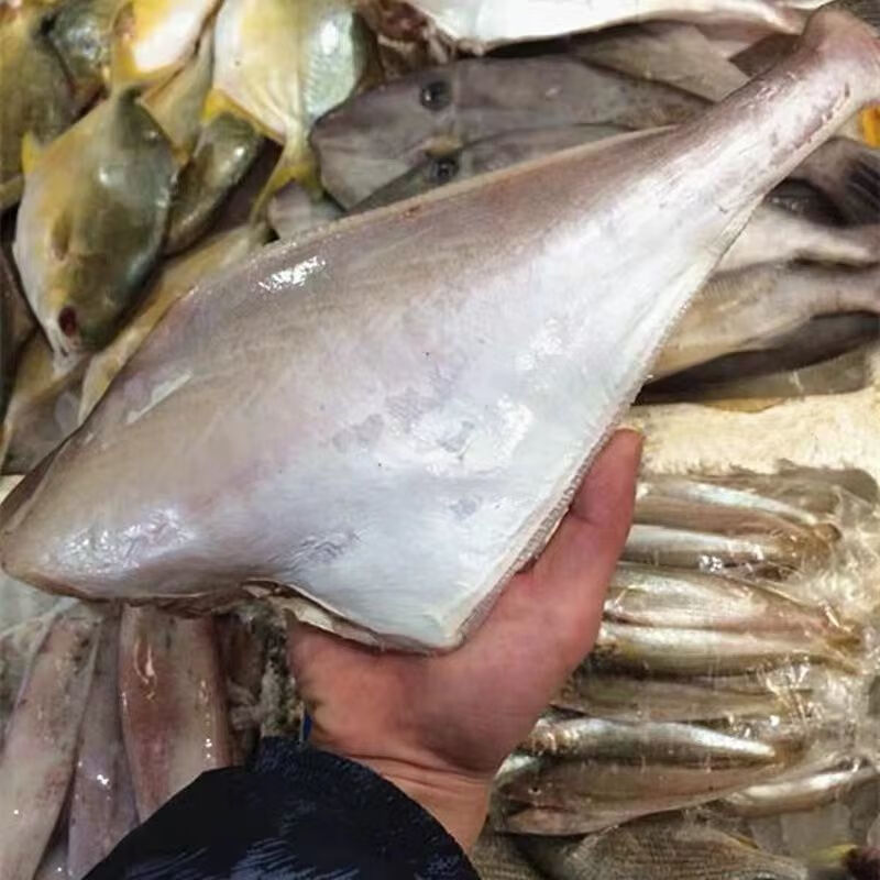 大号扒皮鱼耗儿鱼新鲜冷冻橡皮鱼火锅马面鱼去头去内脏2斤3斤3条大号