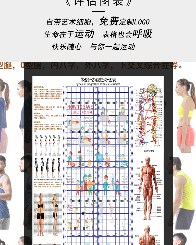 体态评估网格图 儿童身高体态评估表站姿体测网格壁画背景墙纸中小