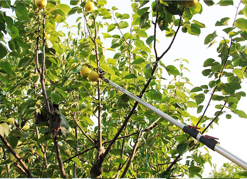 伸缩摘果器高空采水果高枝剪锯摘枇杷神器高空剪荔枝剪树枝剪剪刀单个