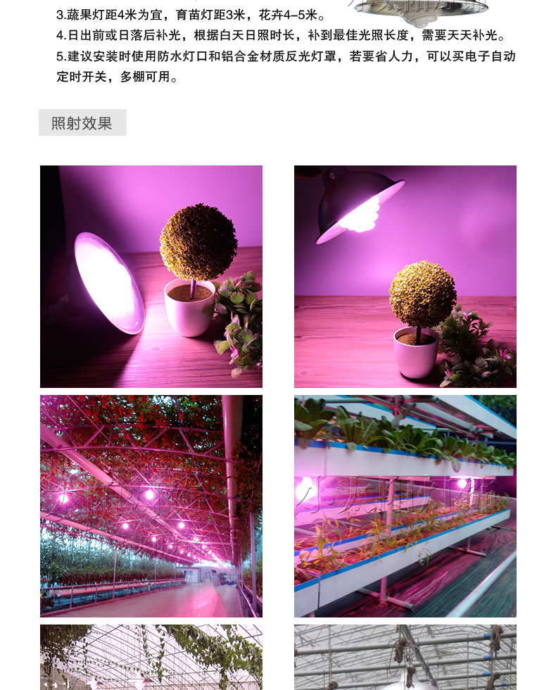 全光谱植物生长灯仿太阳光大棚蔬菜阳台种植红蓝光补光灯佛山灯具照明