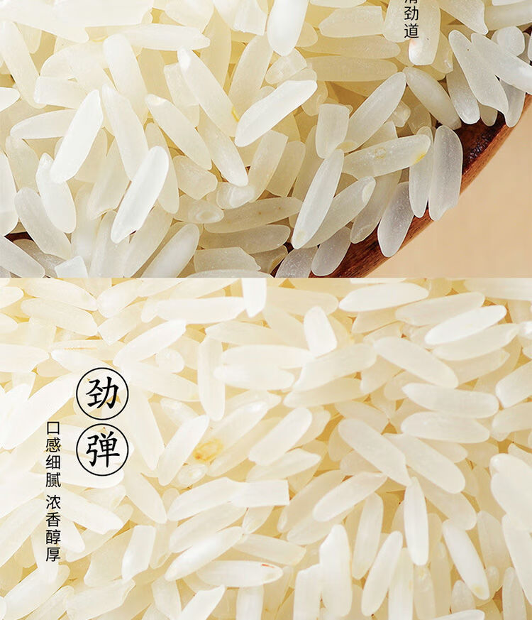 象牙香米长粒新米大米10斤装5kg批发现磨九七香米非东北 象牙香米10斤