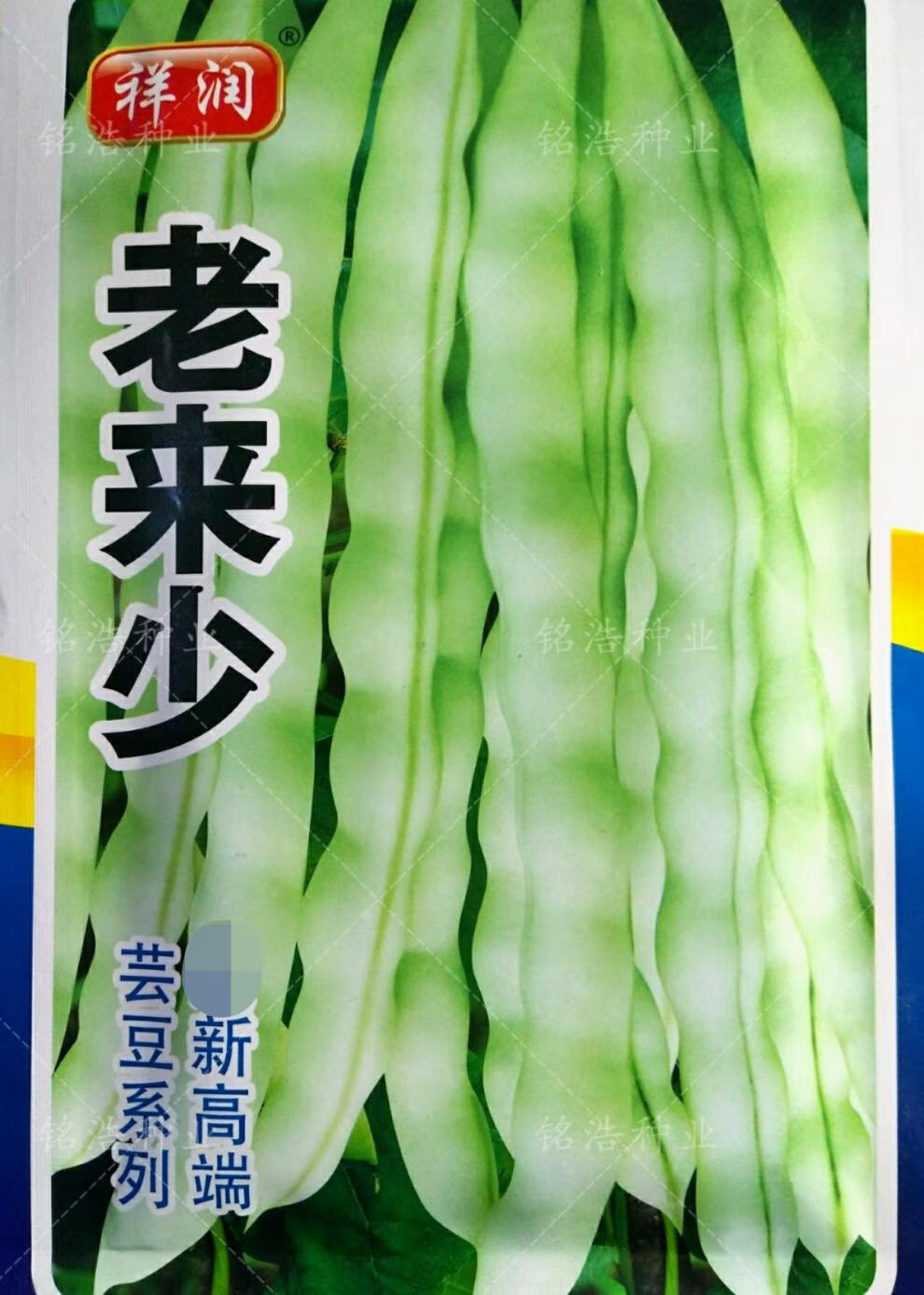 老来少九粒白芸豆种子架豆角种籽早熟高产春秋季四季蔬菜农家大田朐阳