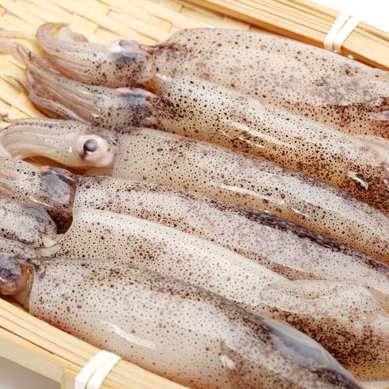 前笔管鱼海兔鲜活鱿鱼灯光鱿鱼一口管油管鱿鱼小管 3斤装【图片 价格