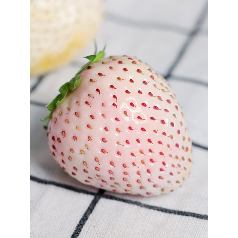 淡雪白草莓白雪公主白色牛奶草莓水果新鲜礼盒淡雪草莓非日本进口