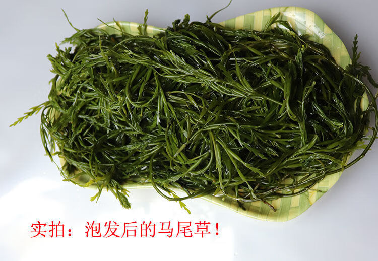 威海火锅野生薄海带芽 长寿菜 马尾藻海带苗 嫩海藻菜 韩式海带汤