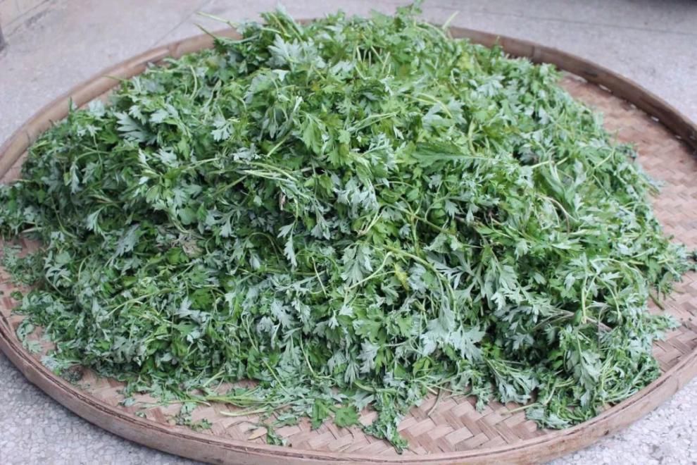 现做江西赣南特产清明果饺子艾叶粑粑纯手工艾米果青团子艾草米果豆腐