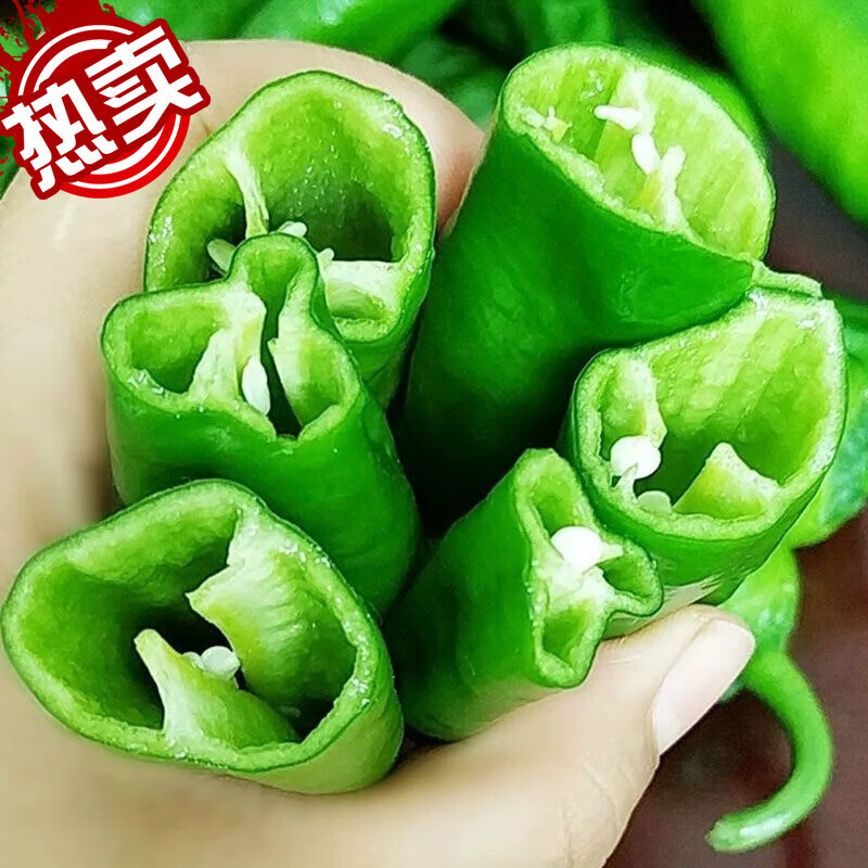 新鲜辣妹子辣椒辣特别辣东北小辣椒薄皮青尖辣椒腌制蘸酱蔬菜 新鲜