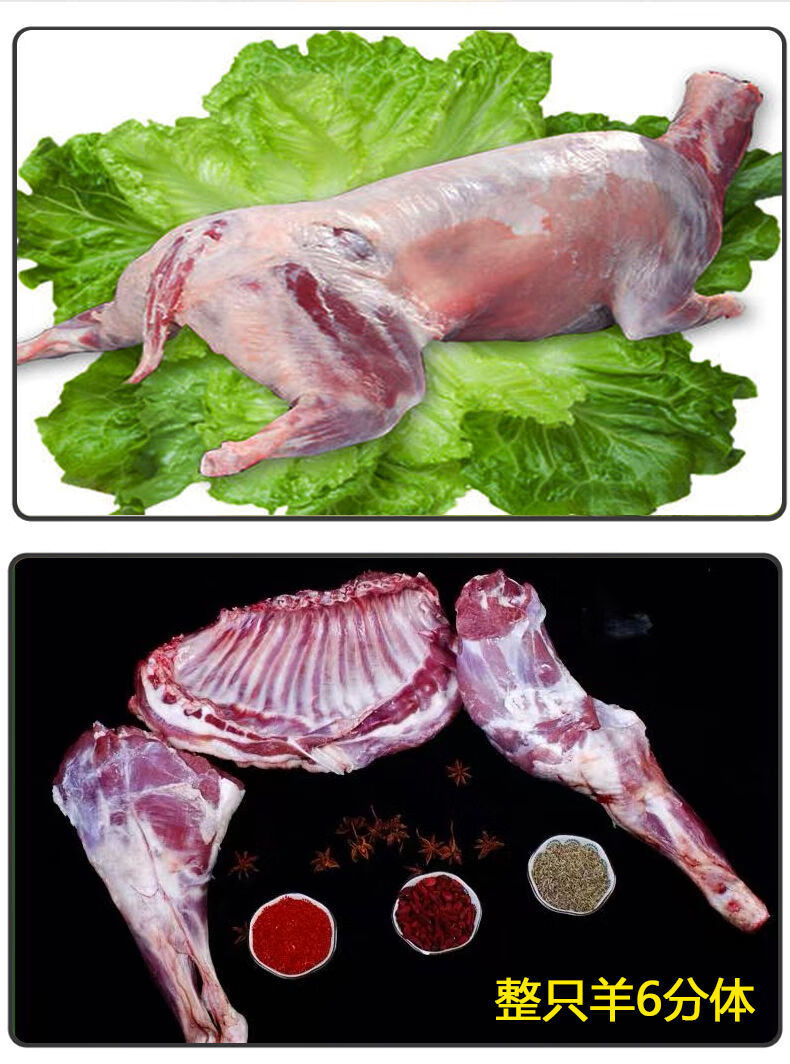 甘肃环县羊肉新鲜现杀半只整只羊排羊羔肉烤全羊白条羊 整只羊(去头去