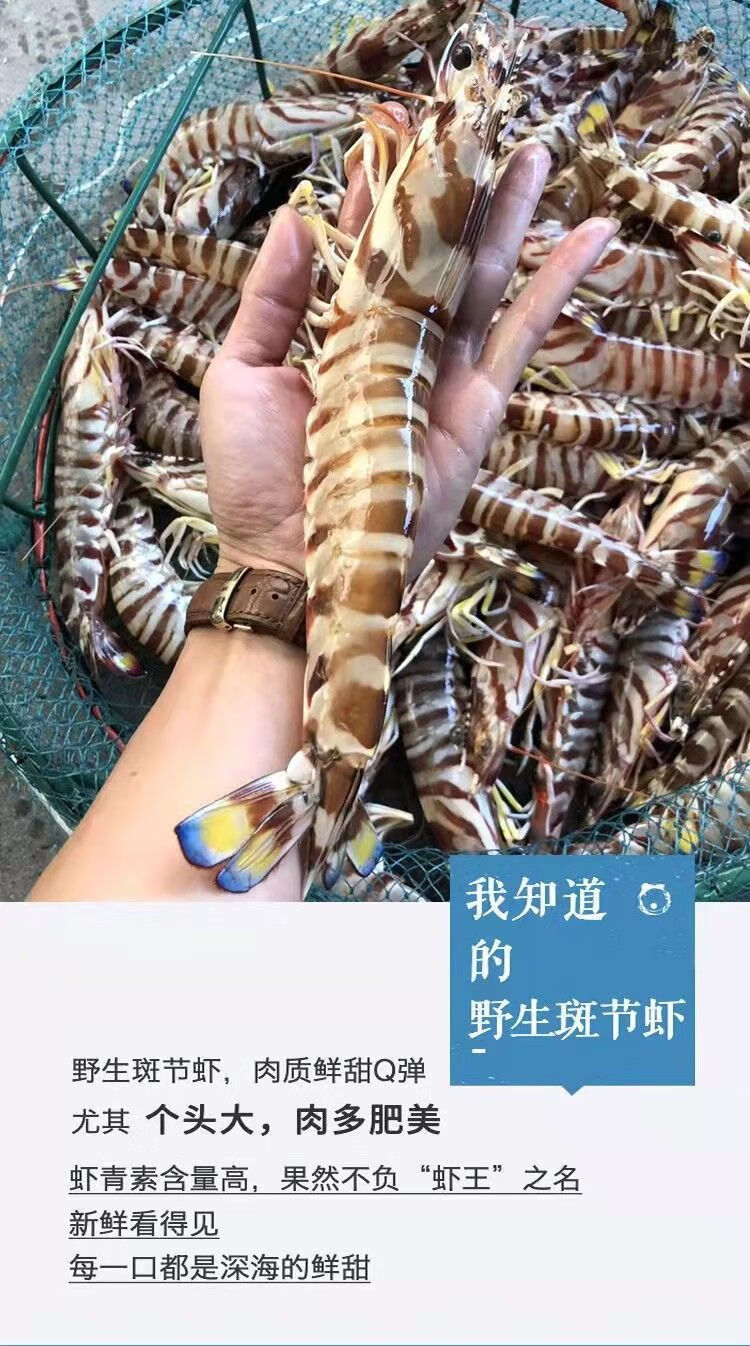 3盒每盒一斤9-10条 斑节虾当天现捕现发【图片 价格 品牌 报价】-京东