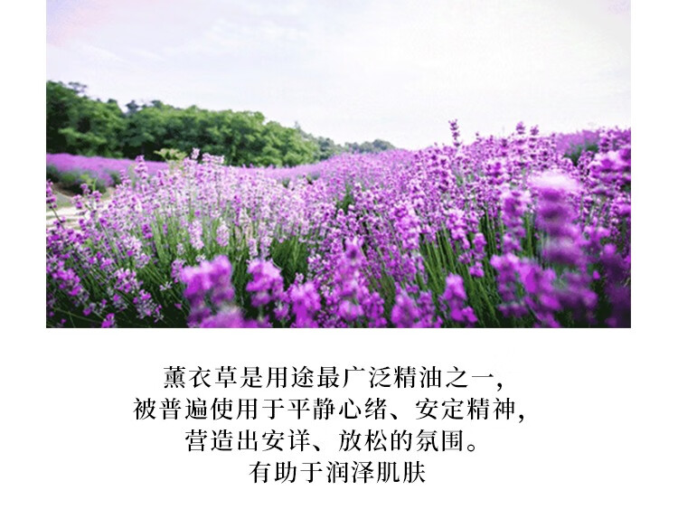 d79ff4fb9afc1805.jpg
