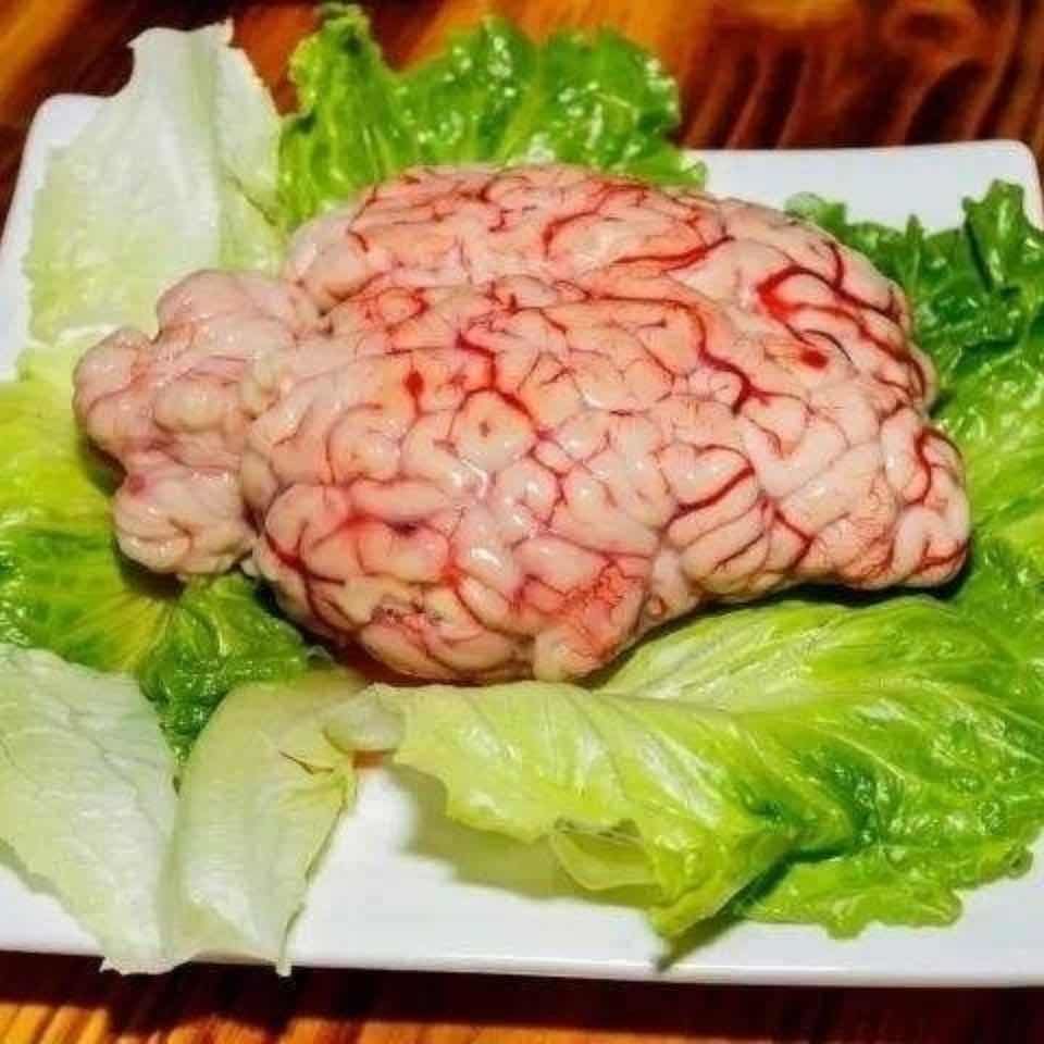 牛脑子 新鲜黄牛脑子 牛脑花 新鲜脑花 一斤. 三个牛脑花【图片 价格 