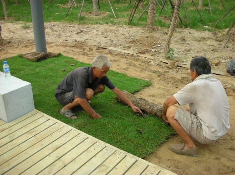 草坪壓平滾筒花園鋪草皮拍綠化手扶滾桶鐵輥打夯草地壓實機碾壓土黑色