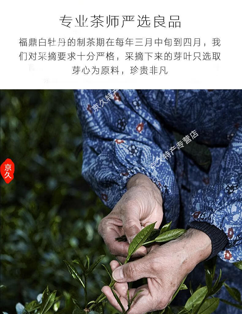 茶艺师白茶泡法_老白茶的泡法_老白茶泡几秒