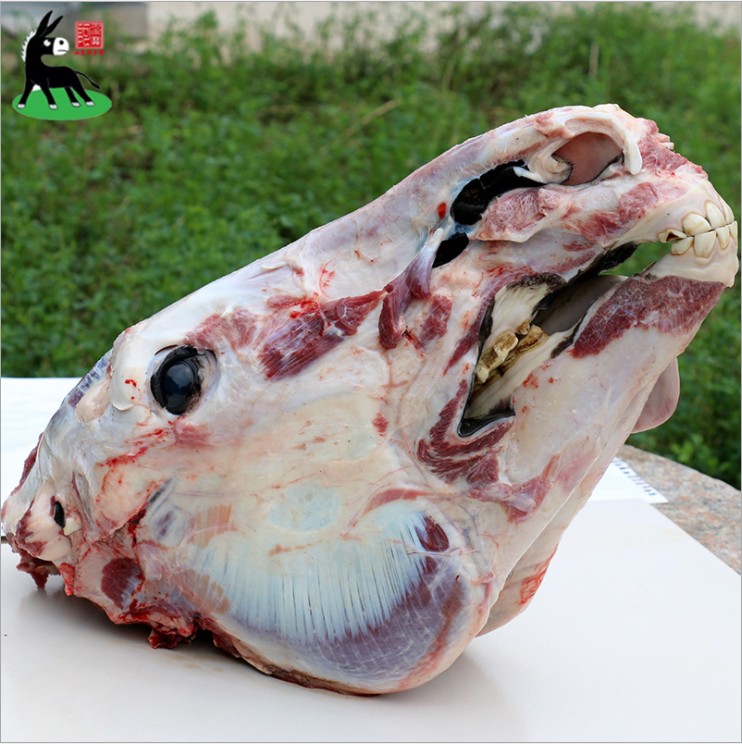 天锦新鲜现杀驴肉生驴头整只驴头全驴宴驴头肉驴头带眼睛和脸肉驴舌