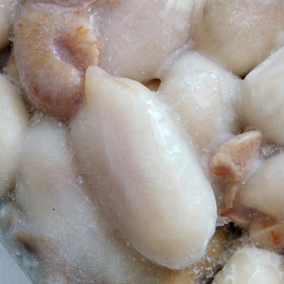 宁波海鲜大墨鱼蛋4斤 乌贼卵全淡乌鱼蛋新鲜乌贼目鱼蛋大白蛋【图片