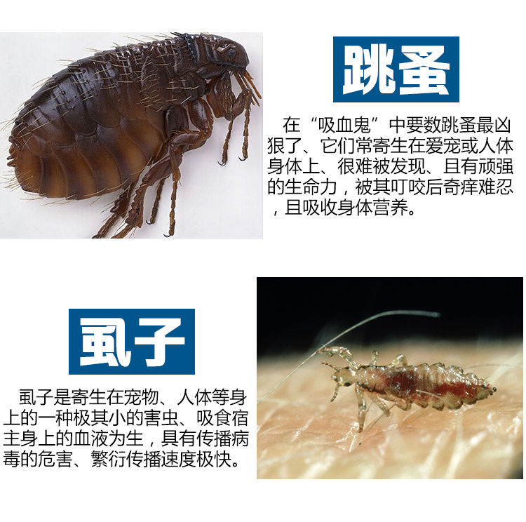 跳蚤药喷雾虱子药猫咪驱虫宠物狗泰迪金毛除蚤杀蜱虫新宠之康体内驱虫