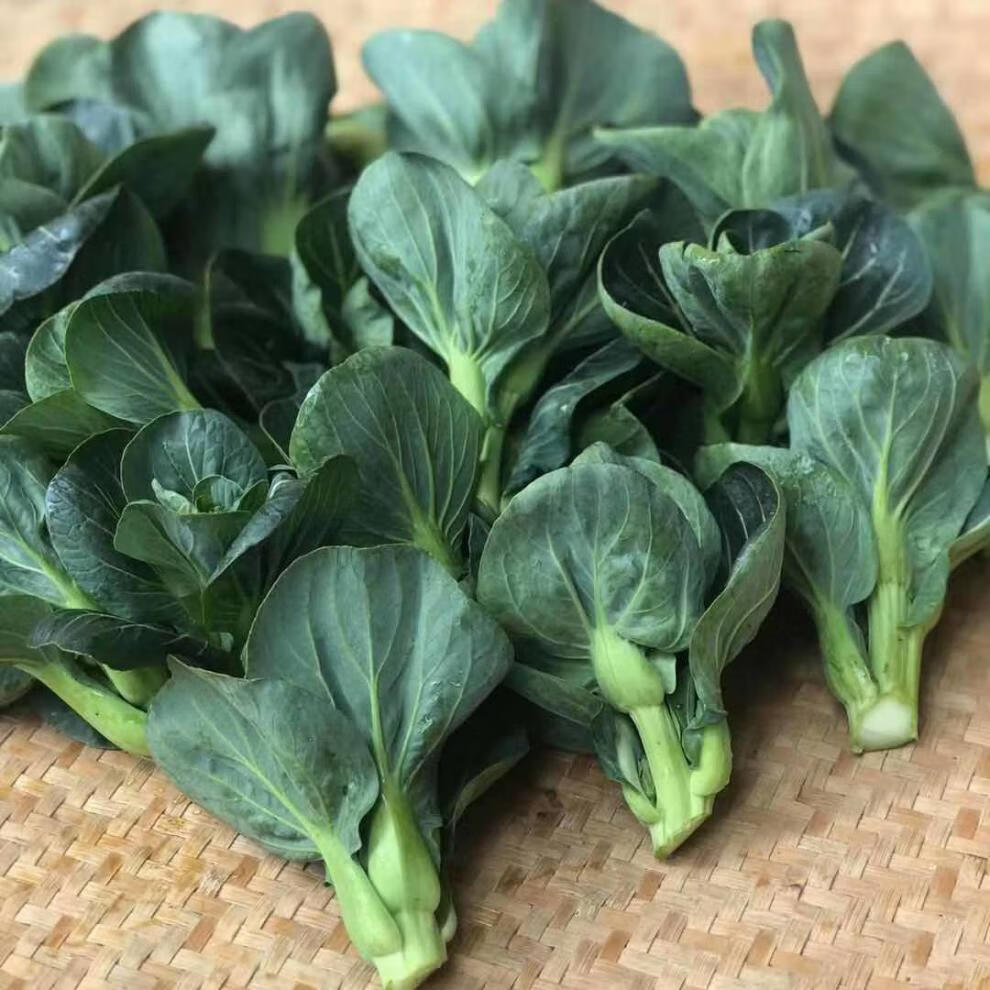 常熟青菜苔发货菜心菜苔软糯甜新鲜蔬菜批发3斤精品保鲜发货