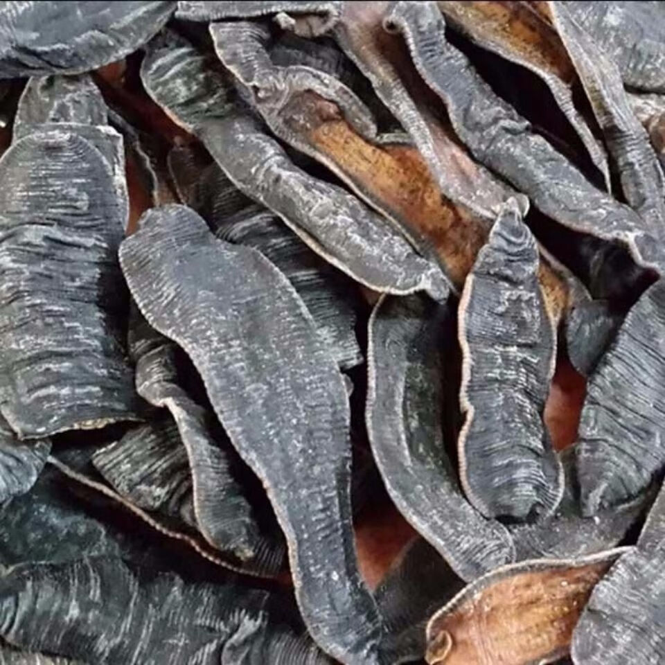 中药材水蛭蚂蟥不加任何东西清水货吊干500g农产品